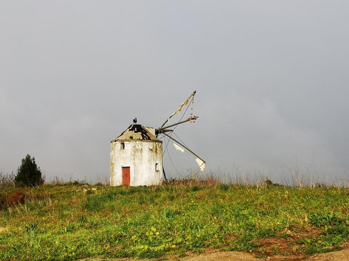 Feather House São Bartolomeu 外观 照片